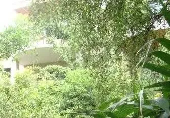 鑫通福地2室1厅1卫南朝向1400.00元/月出租