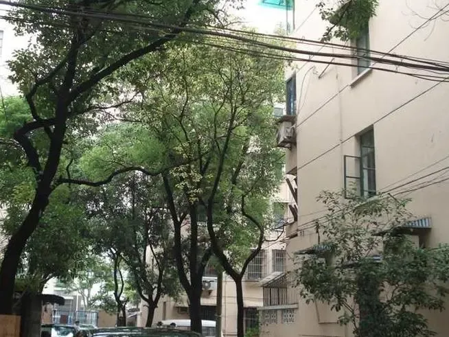 佳木斯路110弄小区外景图