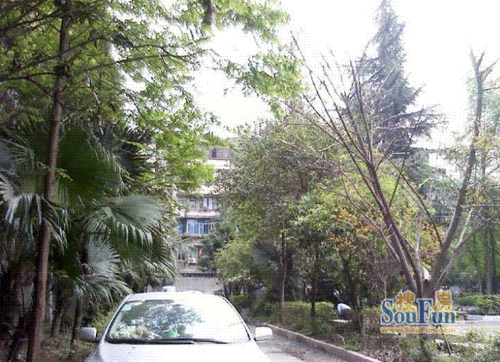 整租·吉绿苑1室1厅