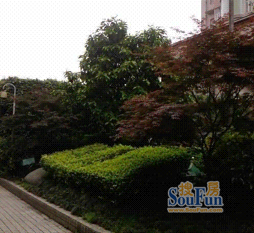 金秋家园2室2厅2卫东南朝向1500.00元/月出租