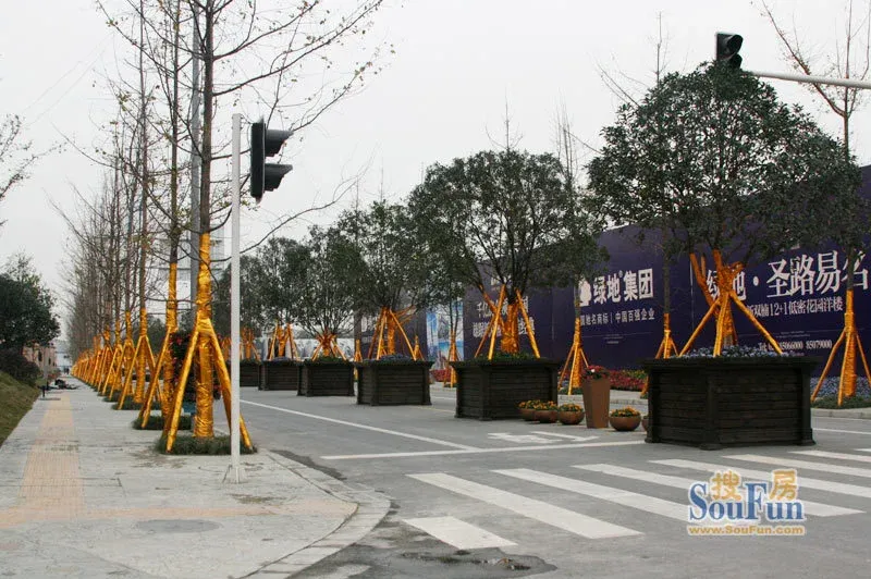 绿地圣路易名邸3室2厅1卫东南朝向3400.00元/月出租