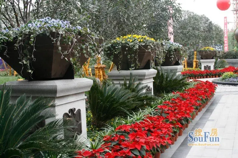 绿地圣路易名邸2室1厅1卫西朝向2800.00元/月出租