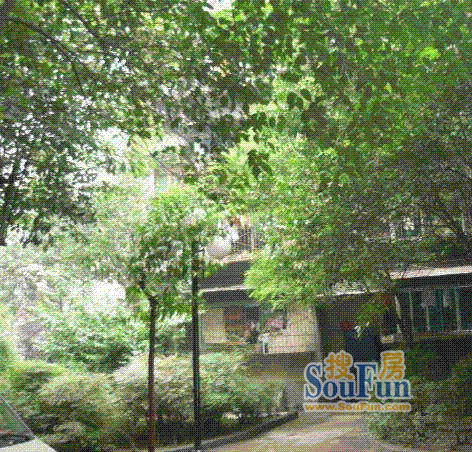 前沙湾1室1厅1卫东北朝向1500.00元/月出租