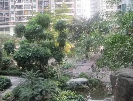 荔港南湾4室1厅2卫东南朝向7500.00元/月出租