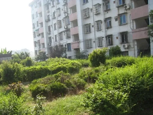 中波苑2室1厅1卫南朝向1200.00元/月出租