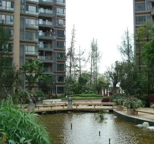 中大君悦金沙五期2室1厅1卫东南朝向3100.00元/月出租