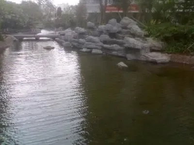 华景新城2室1厅1卫南朝向4200.00元/月出租