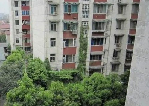 交大北园3室2厅1卫南北朝向3300.00元/月出租