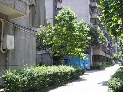 汾水小区1室1厅1卫南朝向2000.00元/月出租