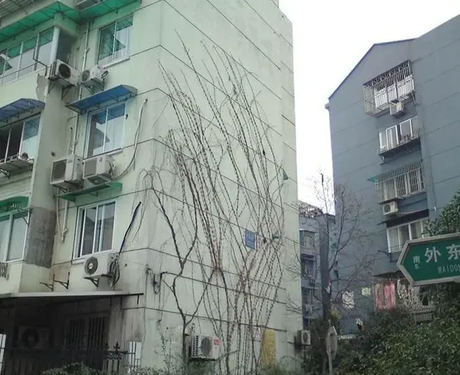 整租·黄龙·外东山弄·2室