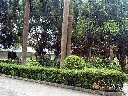 云东小区2室2厅1卫南朝向3200.00元/月出租