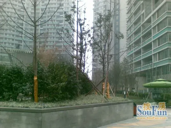 中粮祥云国际生活区二期3室1厅1卫东南朝向3500.00元/月出租