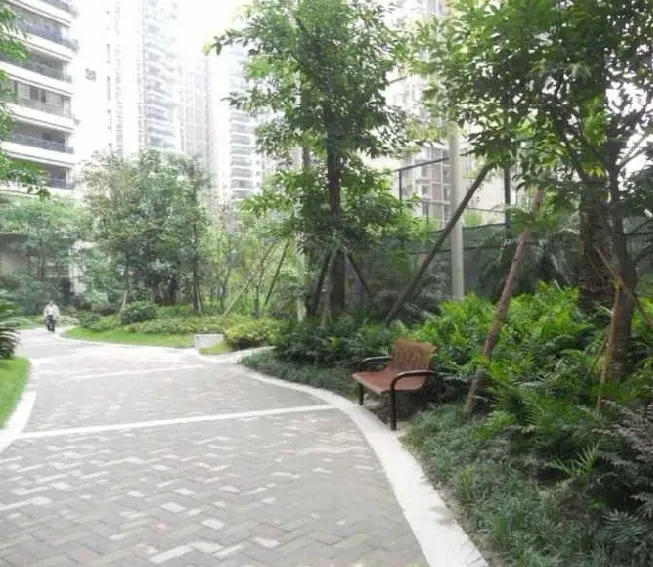 望江橡树林二期1室1厅1卫南朝向2900.00元/月出租