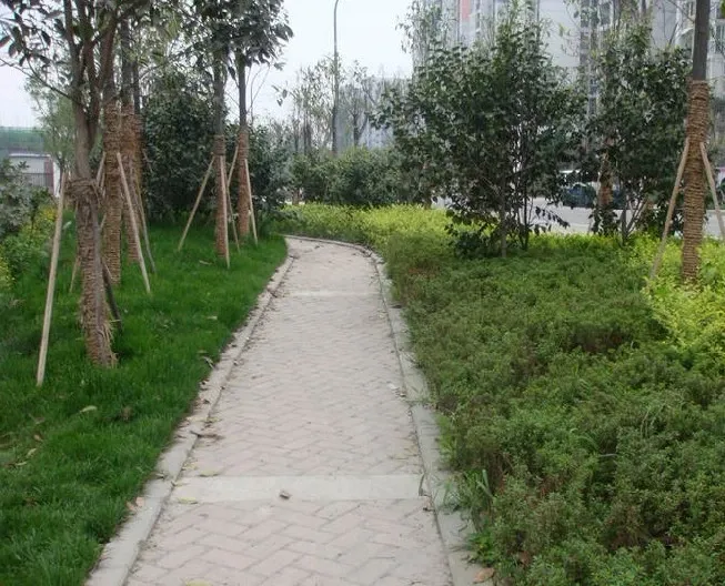 交大归谷国际住区3室2厅2卫东南朝向5000.00元/月出租