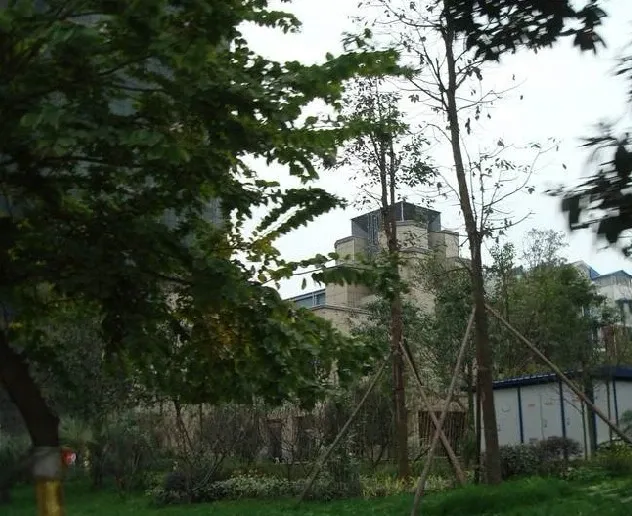 整租·嘉瑞国际3室2厅