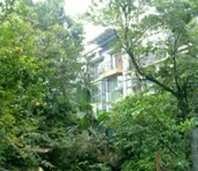 红光苑3室1厅1卫西南朝向1350.00元/月出租