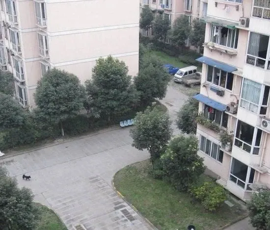 南铁新居3室1厅1卫南北朝向2600.00元/月出租