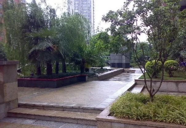 光明城市3室2厅2卫东朝向2900.00元/月出租