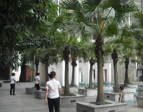 督院府邸2室2厅1卫东北朝向4350.00元/月出租