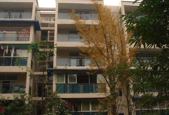 天元山庄3室2厅2卫东南朝向1800.00元/月出租