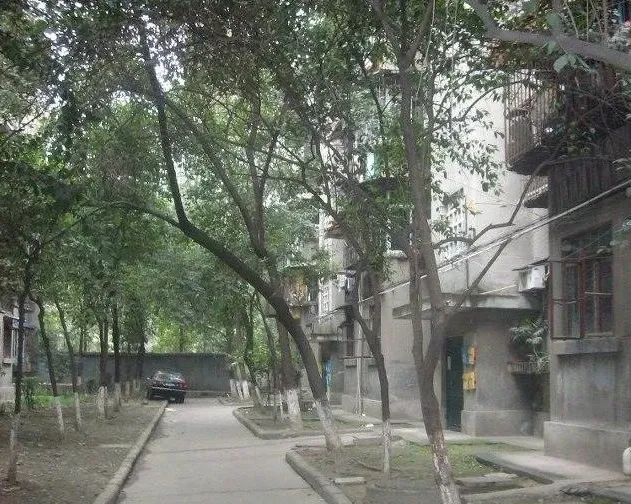 双桥路南六街社区2室1厅1卫东南朝向2200.00元/月出租