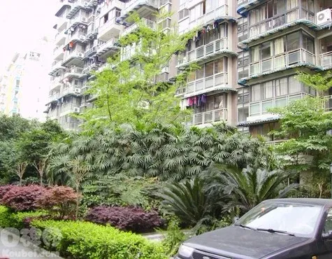 金港空中花园1室1厅1卫西南朝向1800.00元/月出租
