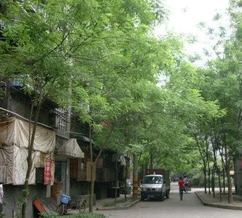 抚琴北一巷 2室 1厅 63.77平米