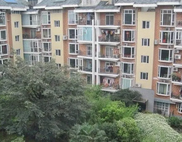 整租·金房苑西苑3室2厅