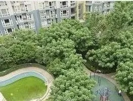 钢管厂三区宿舍2室2厅1卫南北朝向2200.00元/月出租