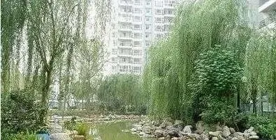 钢管厂三区宿舍1室1卫西北朝向1100.00元/月出租