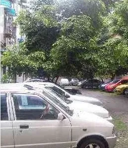 天涯南苑3室2厅1卫东南朝向3400.00元/月出租