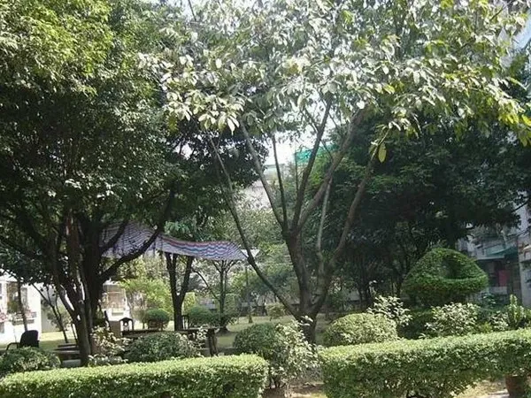 广信桥东大厦3室2厅2卫东南朝向3300.00元/月出租