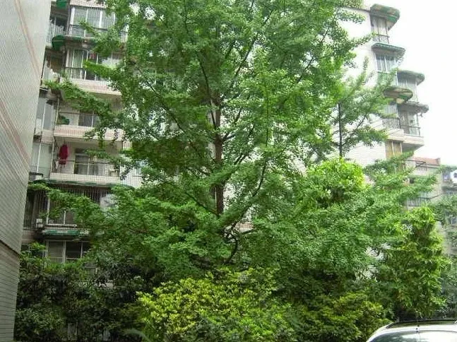 整租·南方福苑 3室1厅 南