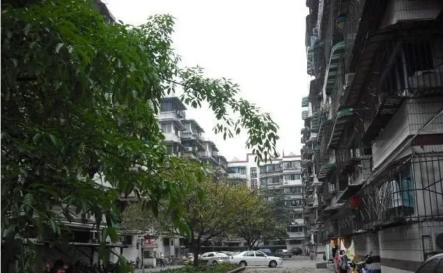 成华区政府宿舍3室1厅1卫东南朝向2100.00元/月出租