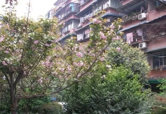 营通街181号院2室1厅1卫东南朝向1850.00元/月出租