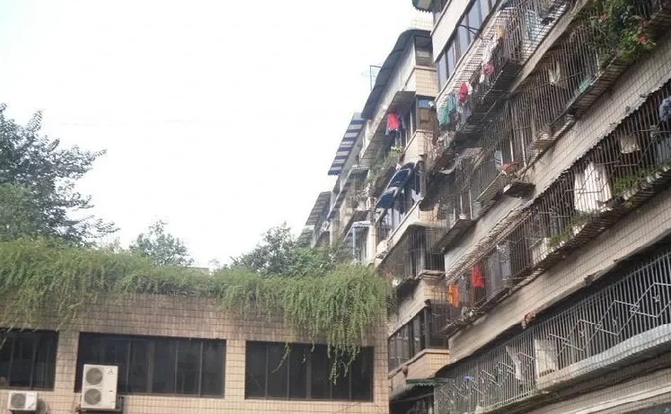 苏坡中路77号院1室1厅1卫南北朝向1250.00元/月出租