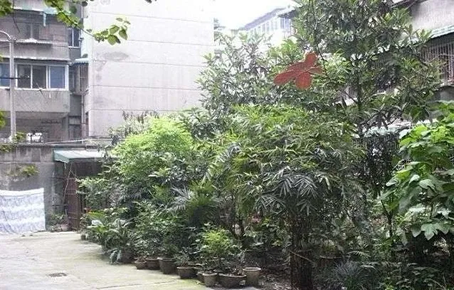 忠烈祠东街51号院2室1厅1卫东南朝向2400.00元/月出租