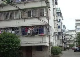 整租·紫阳公寓 3室1厅 南