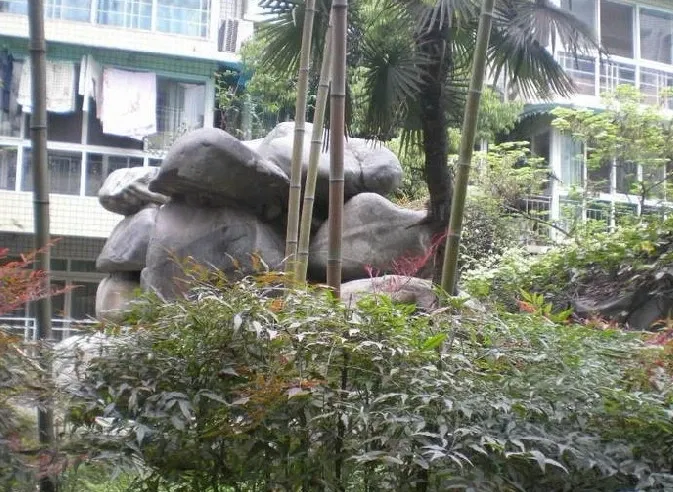 澳深天健园3室2厅2卫西南朝向2500.00元/月出租