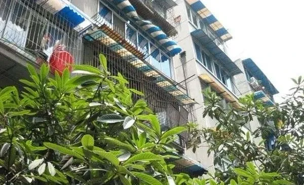 万年场横街2号院3室1厅2卫东南朝向2600.00元/月出租