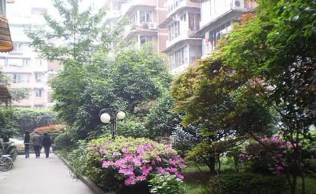 整租·九里园3室1厅