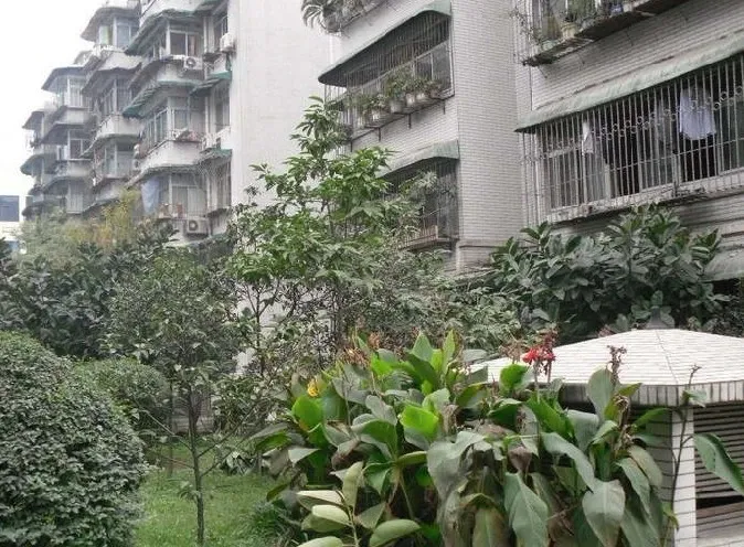 银杏地带1室1卫南朝向1500.00元/月出租