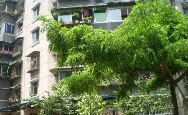 整租·永兴社区3室1厅