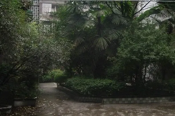 鼓楼街北二街小区1室1厅1卫东南朝向1600.00元/月出租