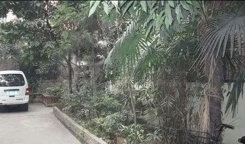 新开寺街28号院2室1厅1卫东朝向1900.00元/月出租
