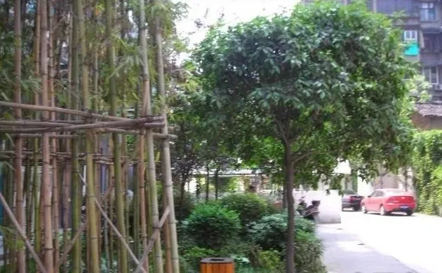 新开寺街28号院2室1厅1卫东南朝向2000.00元/月出租