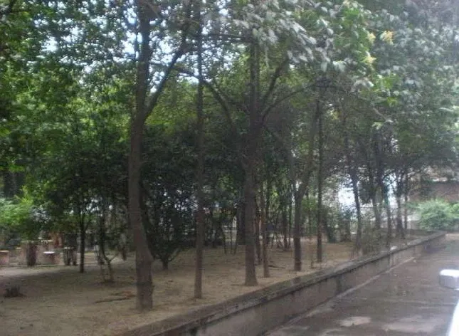 新开寺街28号院2室1厅1卫东朝向1500.00元/月出租