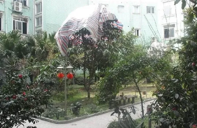 富豪家苑二手房实景图