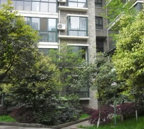 三里风物3室2厅2卫东朝向1800.00元/月出租