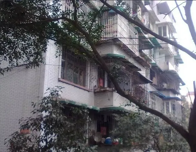 棠湖小区2室1厅1卫南朝向1100.00元/月出租